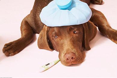 Game Pass 9月游戏泄露：育碧《极限国度》加入